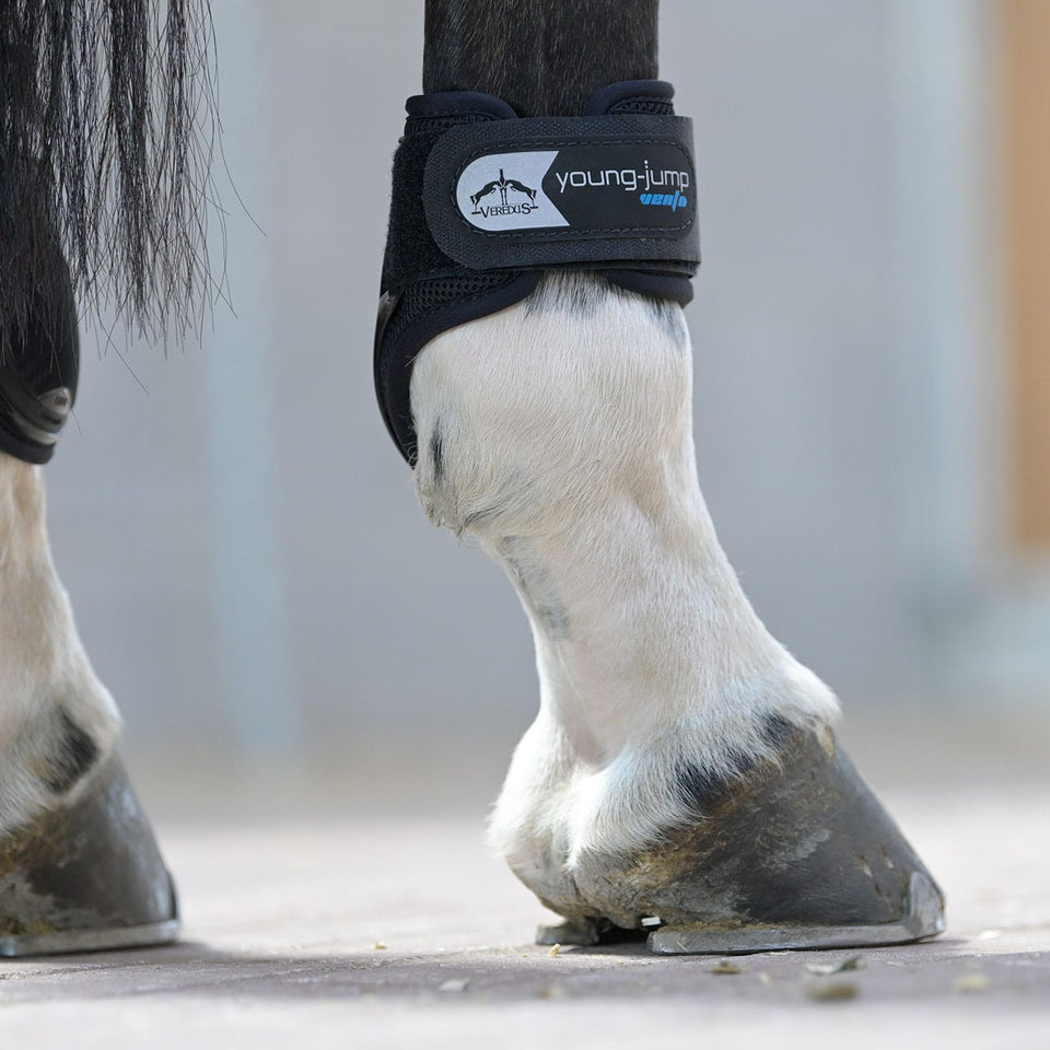 Veredus Young Jump Vento Fetlock Boots - Black