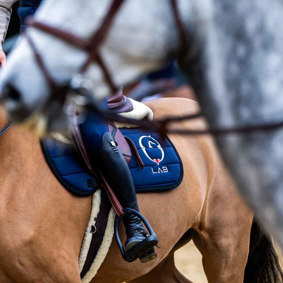 Vestrum LAB Pegasus Saddle Cloth - Navy