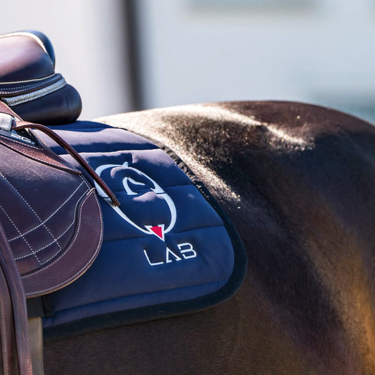 Vestrum LAB Pegasus Saddle Cloth - Navy