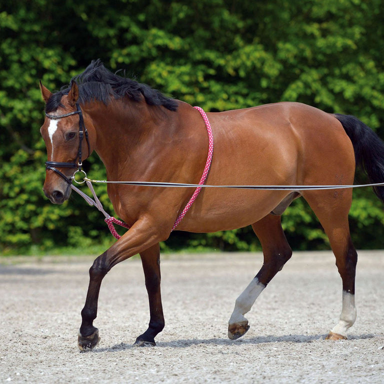 Waldhausen Rope Lungeing Aid
