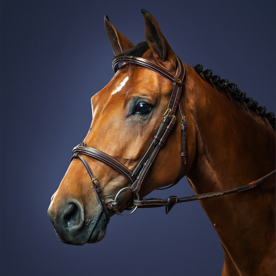 Dy'on D Collection Flash Noseband Bridle - Brown