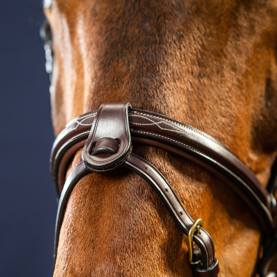 Dy'on D Collection Flash Noseband Bridle - Brown