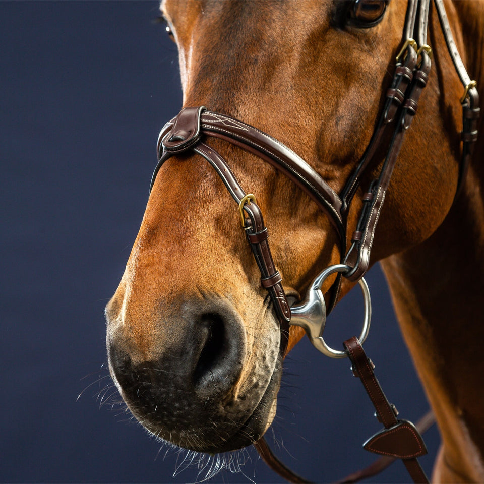Dy'on D Collection Flash Noseband Bridle - Brown
