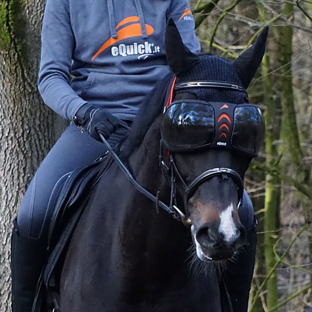 eQuick eVysor Equine Goggles - Darker