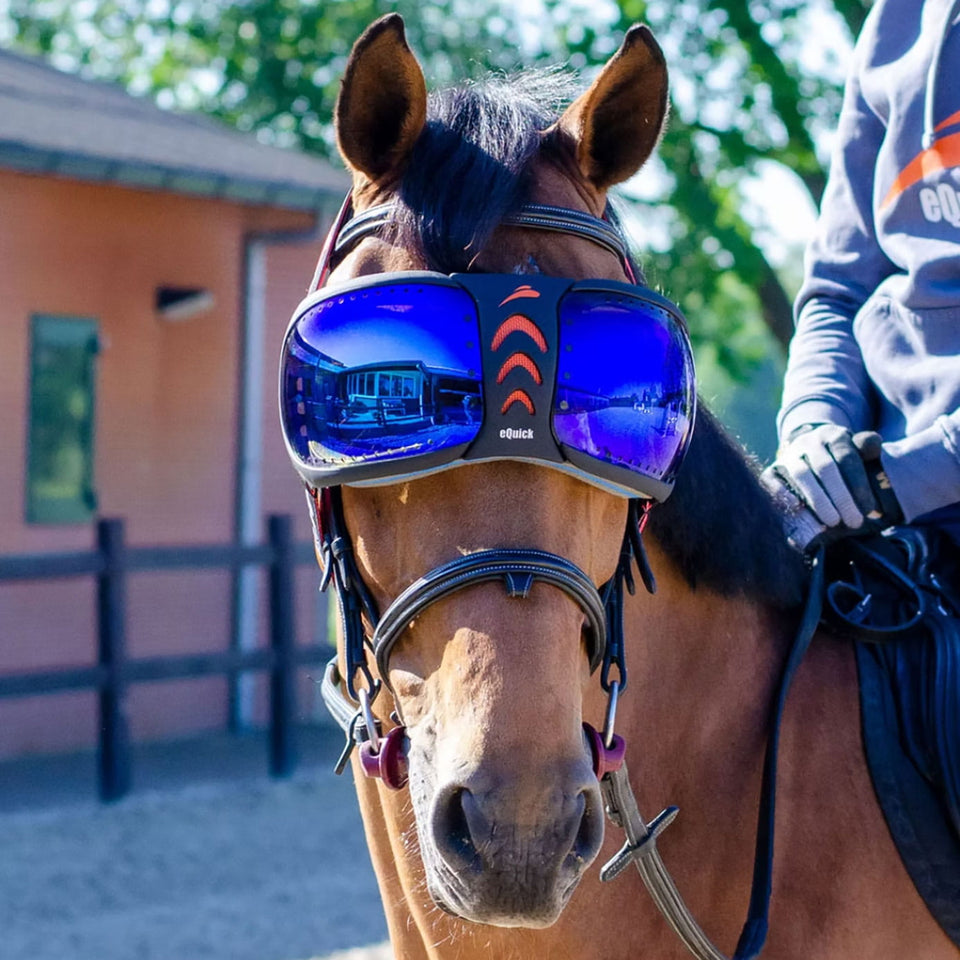 eQuick eVysor Equine Goggles - Mirrored Blue