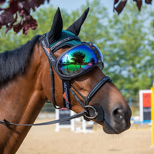 eQuick eVysor Equine Goggles - Mirrored Green