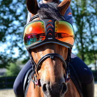 eQuick eVysor Equine Goggles - Mirrored Rainbow