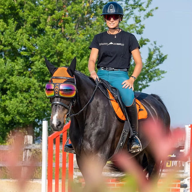 eQuick eVysor Equine Goggles - Mirrored Rainbow