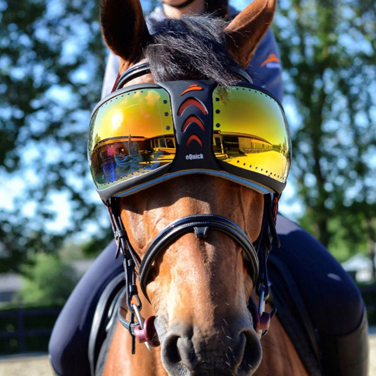 eQuick eVysor Mirrored Rainbow Horse Eye Visor ‐ Equiport Equestrian