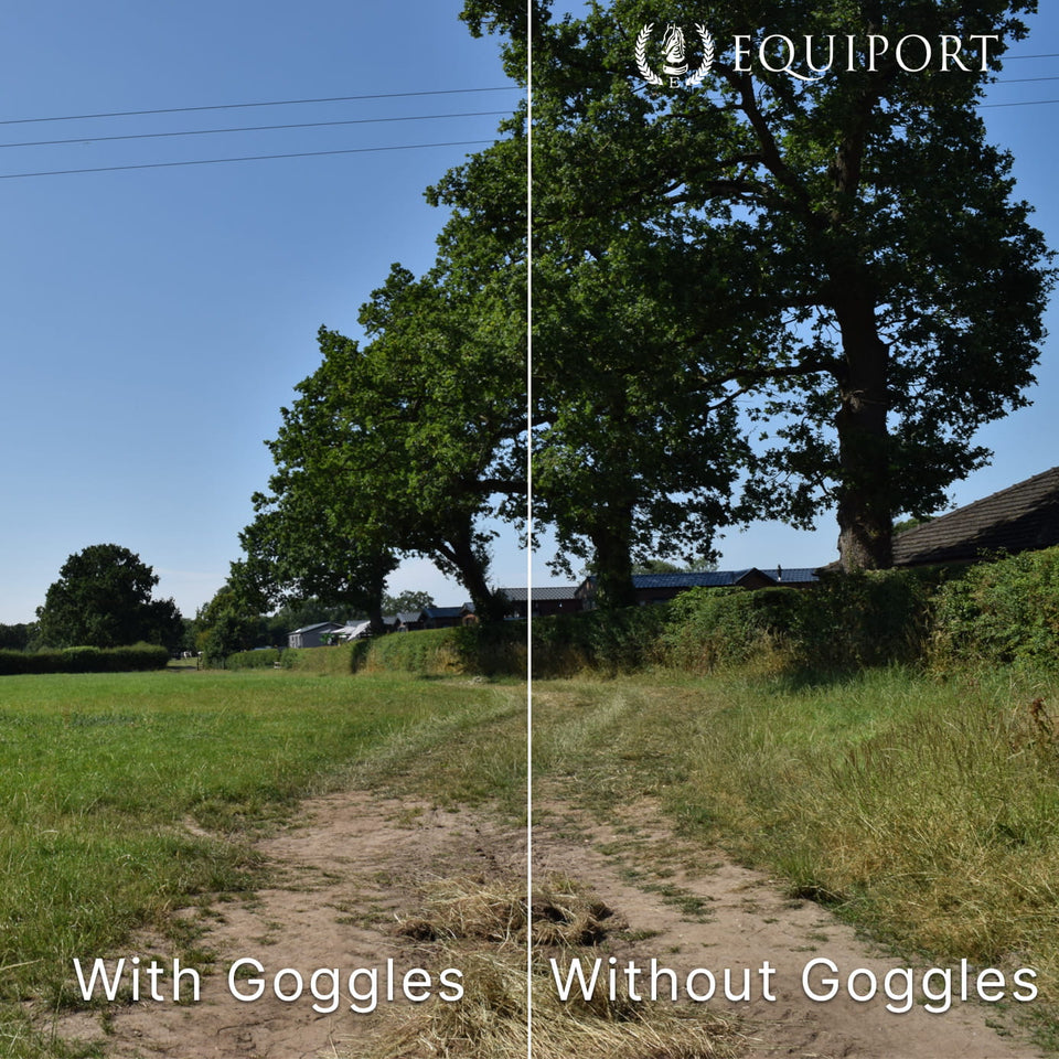 eQuick eVysor Equine Goggles - Transparent
